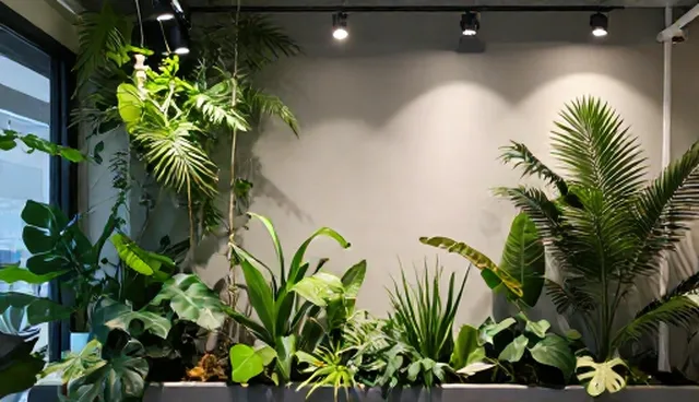 同城配送业务发展趋势与节点可查选择依据